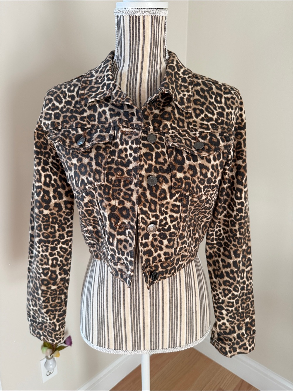Cello Leopard Print Cropped Jacket - Brown & Black